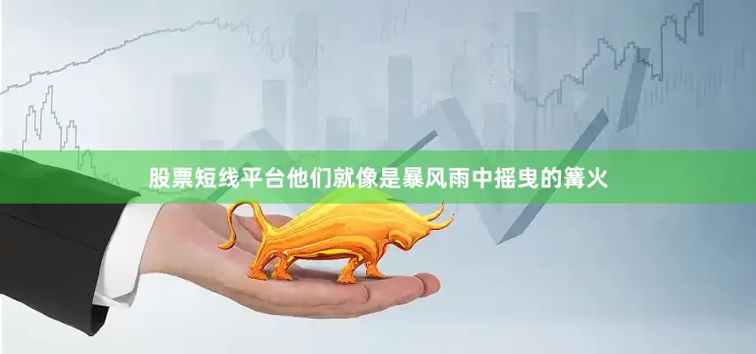 股票短线平台他们就像是暴风雨中摇曳的篝火