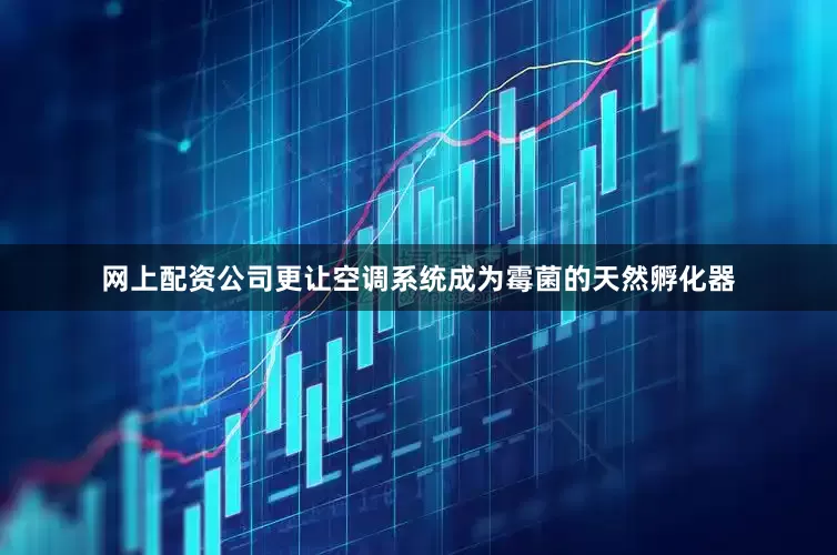 网上配资公司更让空调系统成为霉菌的天然孵化器
