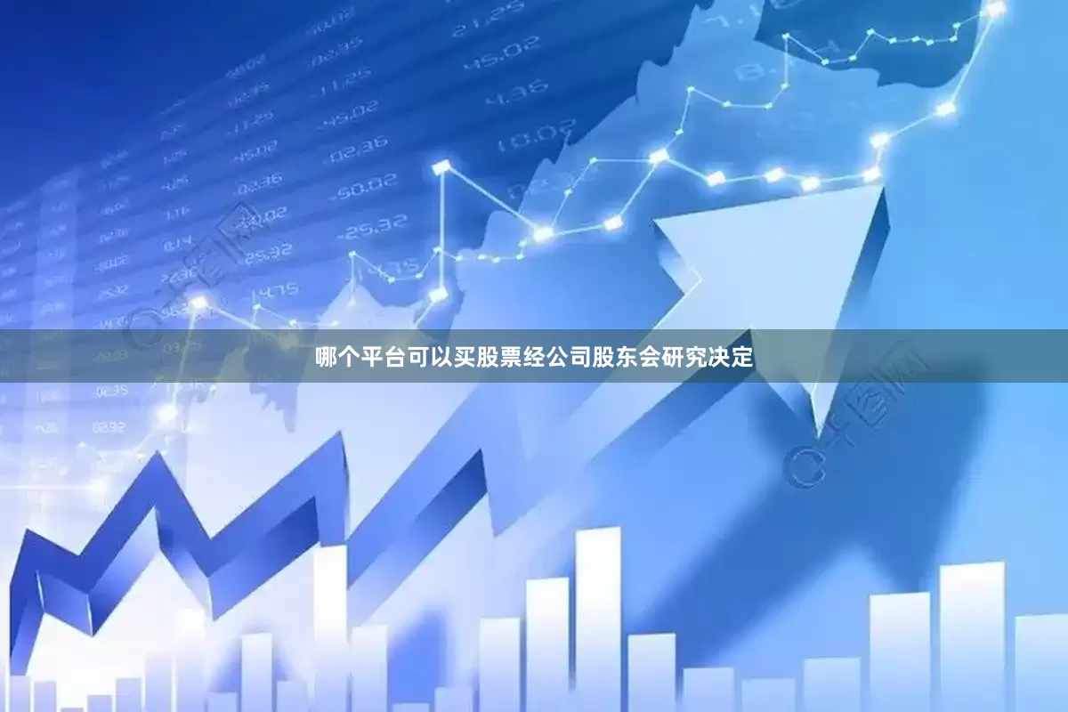 哪个平台可以买股票经公司股东会研究决定