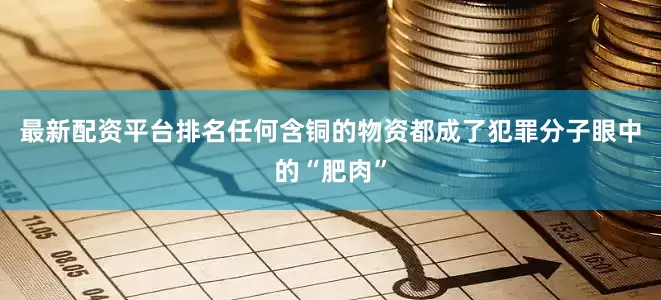 最新配资平台排名任何含铜的物资都成了犯罪分子眼中的“肥肉”
