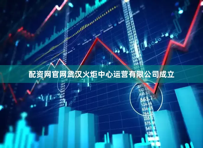 配资网官网武汉火炬中心运营有限公司成立
