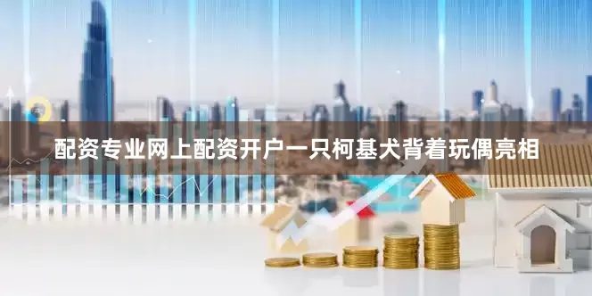 配资专业网上配资开户一只柯基犬背着玩偶亮相