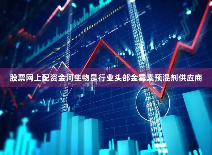 股票网上配资金河生物是行业头部金霉素预混剂供应商